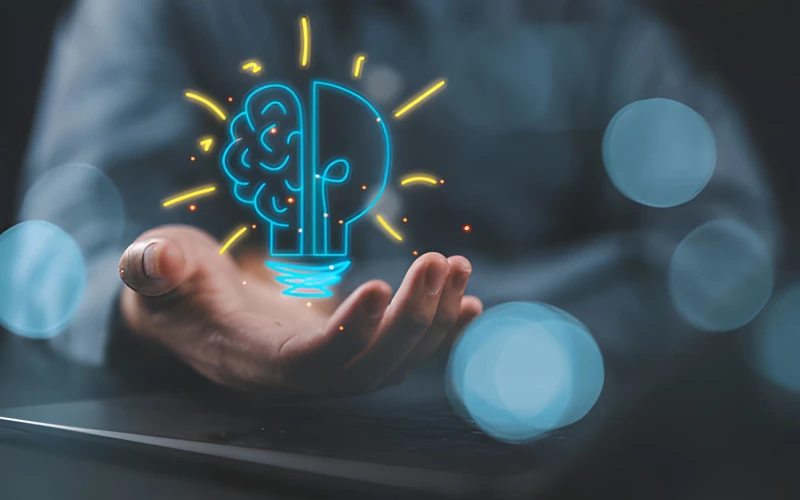 Web & App Development